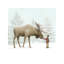 Winter Moose by Eric Fan - Floater Frame Print on Canvas-2072779979-2048308495