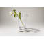 Anemone Vase, Medium-74515524