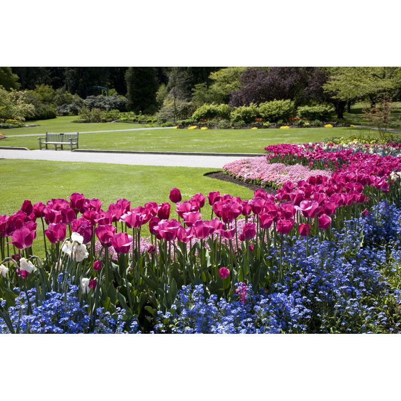 Jardin de fleurs par Jameslee999, H 20 po x l 30 po