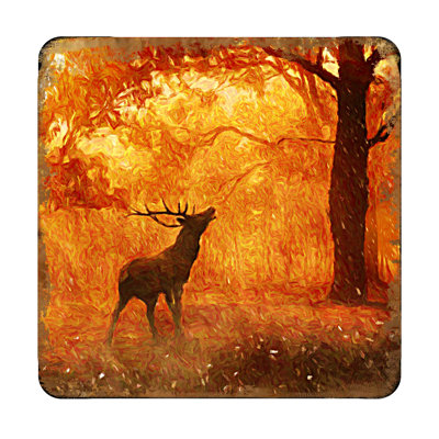 Wood Square 4 Piece Coaster Set