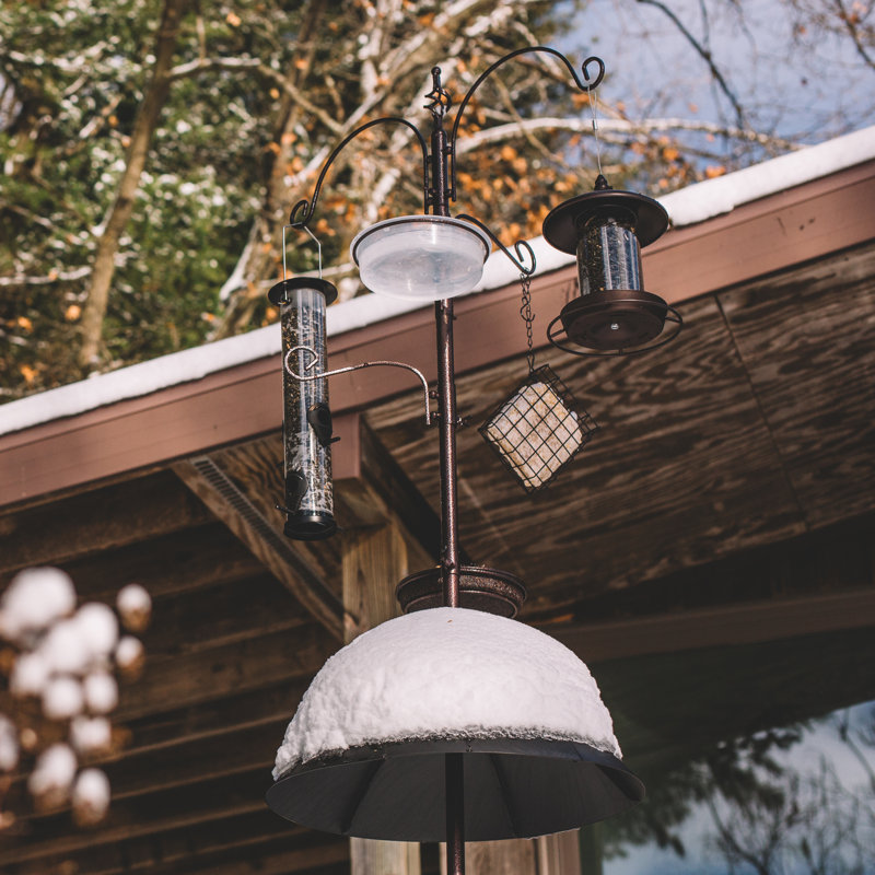 Station d'alimentation d'oiseaux Premium 