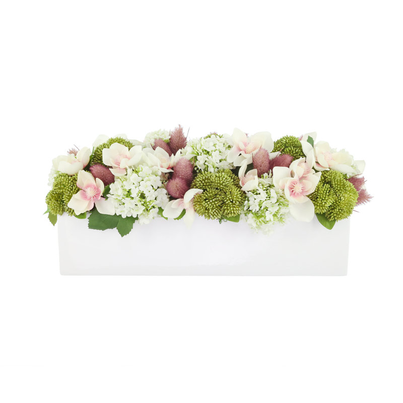 Papillon magnolia et hortensia en pot de fibres