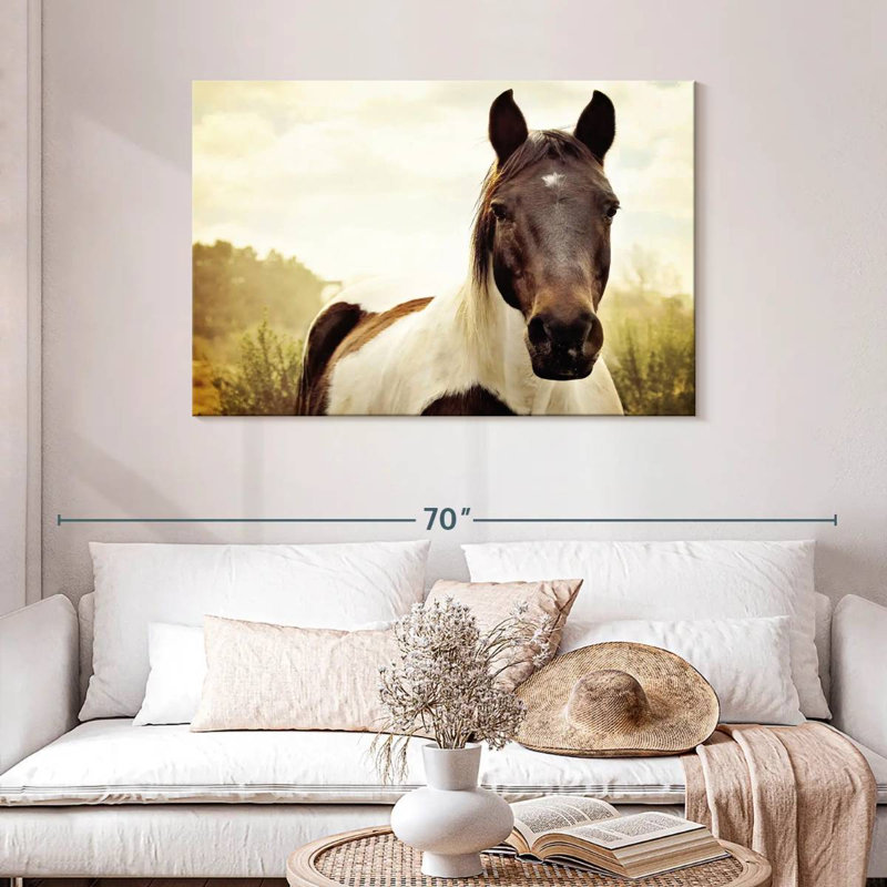 Brampt Horse Pasture, H 30 po x l 45 po