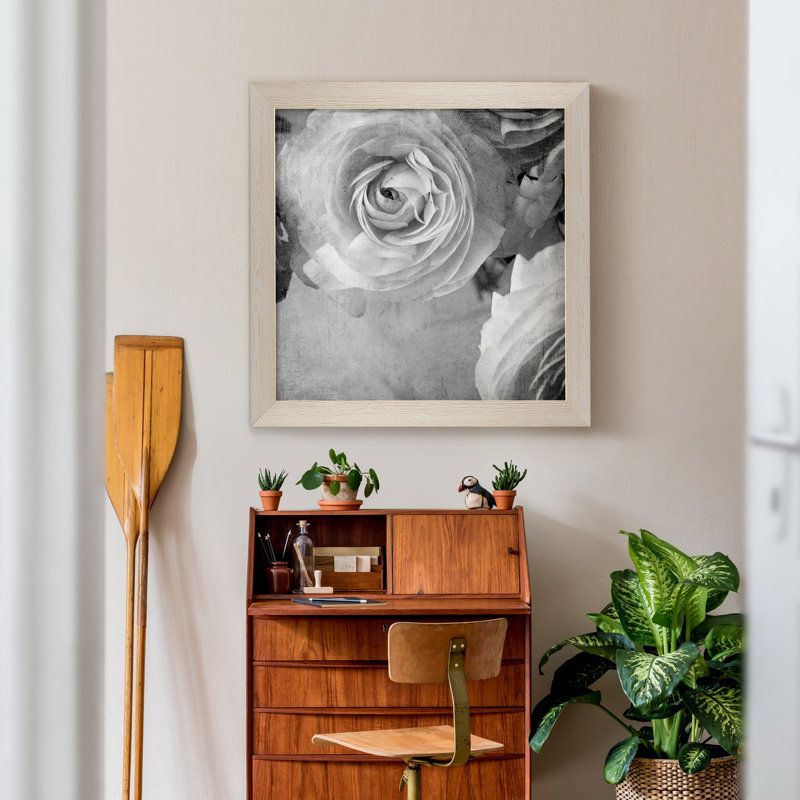 Renoncule foncé IV - cadre photo, H 31,5 po x l 31,5 po x P 1,5 po, Toile blanche encadrée, Pas de tapis