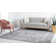 Ameire Oriental Indoor Rug