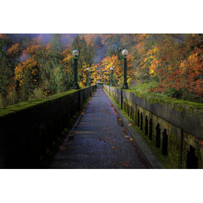 Fall Foliage - Photographie sur toile tendue