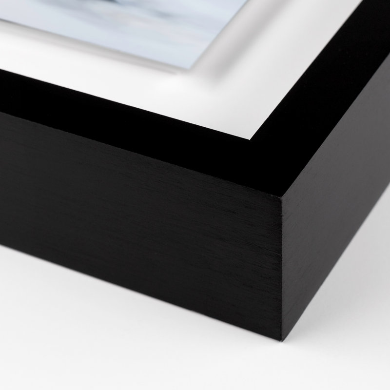 Base Print by Shawn Thomas, 17" H x 24" W x 1.5" D, Black