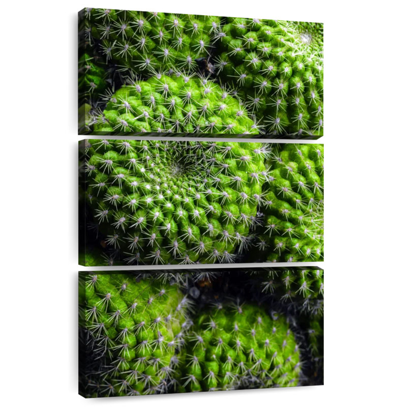 Cactus Harnek, H 74 po x l 48 po