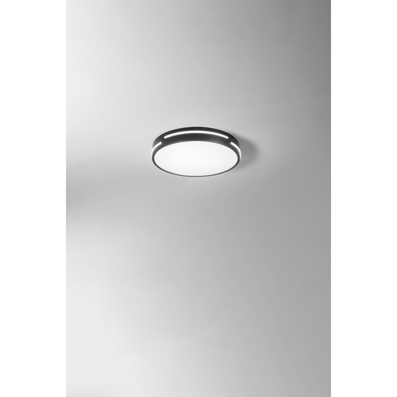 Aquira Flush Mounted Sconce
