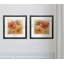 Poppy Allure I - ensemble de 2 reproductions de cadres photo-1001266421