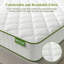 14cm Firm Spring Mattress in a Box-122408939