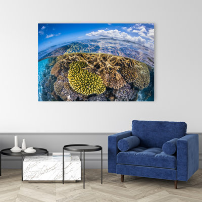 Coral Reef Split View Serene Vibrant Abstract Landscape Nature Wall Art Print