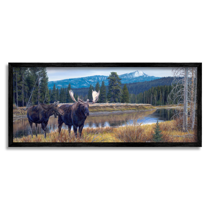 «Moose In River Mountain Scene» encadré sur bois par David Graham, peinture, Giclée encadrée noir minuit