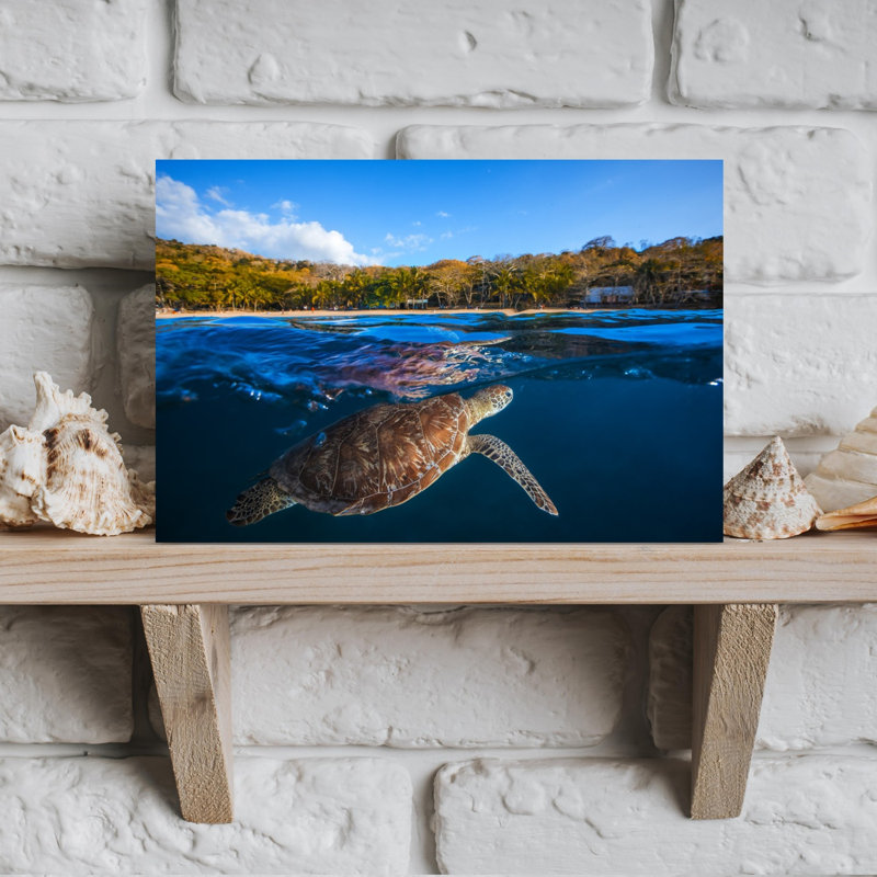 Sea Turtle Tropical Beach Peaceful Serene Vibrant Palm Tree Turtle Beach Nature Wall Art Print 1 Piece Wrapped Canvas Wall Art