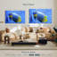 Angelfish bleu corail Brampt-108089548