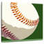 Sirci Baseball I-109214232