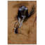 Edgar Degas - Wrapped Canvas Painting
