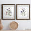Color Variety III - ensemble de 2 peintures-729514774-729514773