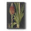 Dramatic Tropicals IV - peinture sur toile tendue-1064614933
