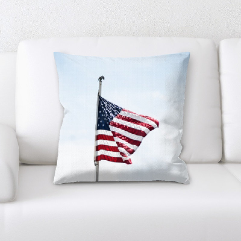 Microsuede Throw Pillow