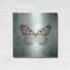 «French Butterfly V» par Debra Van Swearingen-2107100892