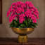 Orchid Arrangement in Hamilton Footed Bowl-1193679963