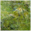 Vincent Van Gogh - Wrapped Canvas Painting-21213000