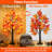 2 Pack 24 Inch Prelit Fall Maple Tree Thanksgiving Decorations With 48 LED Lights