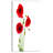 'Isolated Red Poppy Flowers' Graphic Art-19412747-33311241