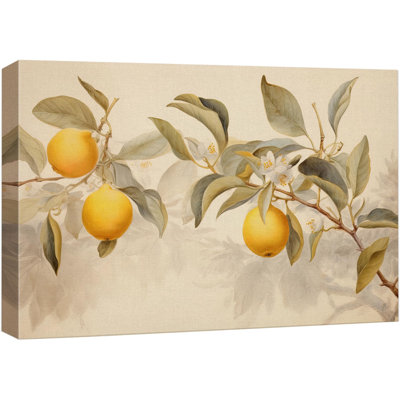Fruits " Peach Fruit And "
