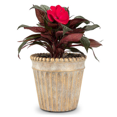 Pot à fleurs en ciment