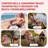 Folding Beach Chair With Wooden Armrest-647271115