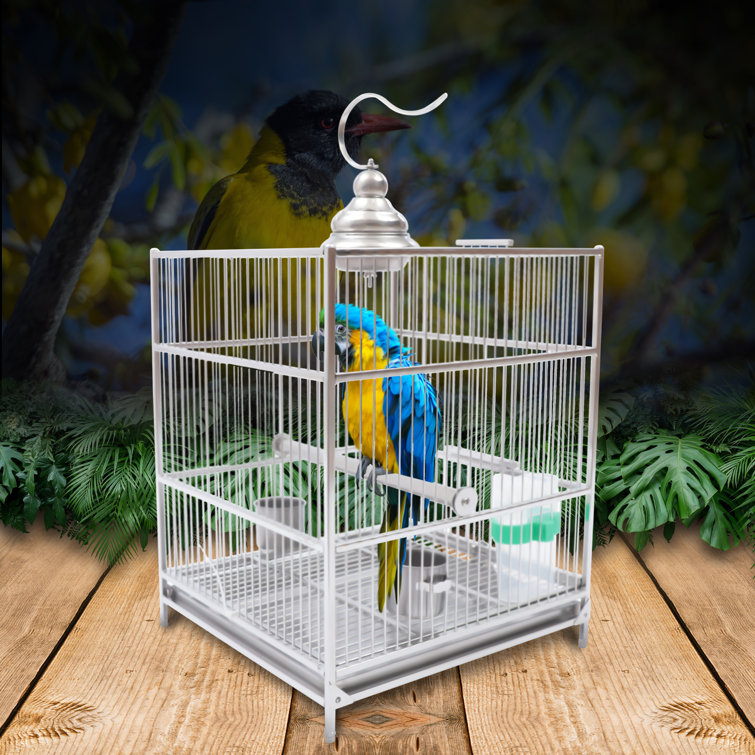 Stick on Portable Bird Perch Which Has Droppings Tray and Removable Cover,  Window Bird Perch / Shower Bird Perch for Small Medium Birds. 