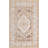 Oriental Machine Woven Polypropylene Indoor / Outdoor Area Rug in Natural-1847715477