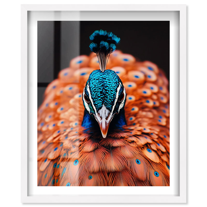 Art mural de salon Fiery Peacock II Shadowbox par Notoriart, cadre blanc, 16 x 20, H 21 po x l 17 po, Cadre blanc