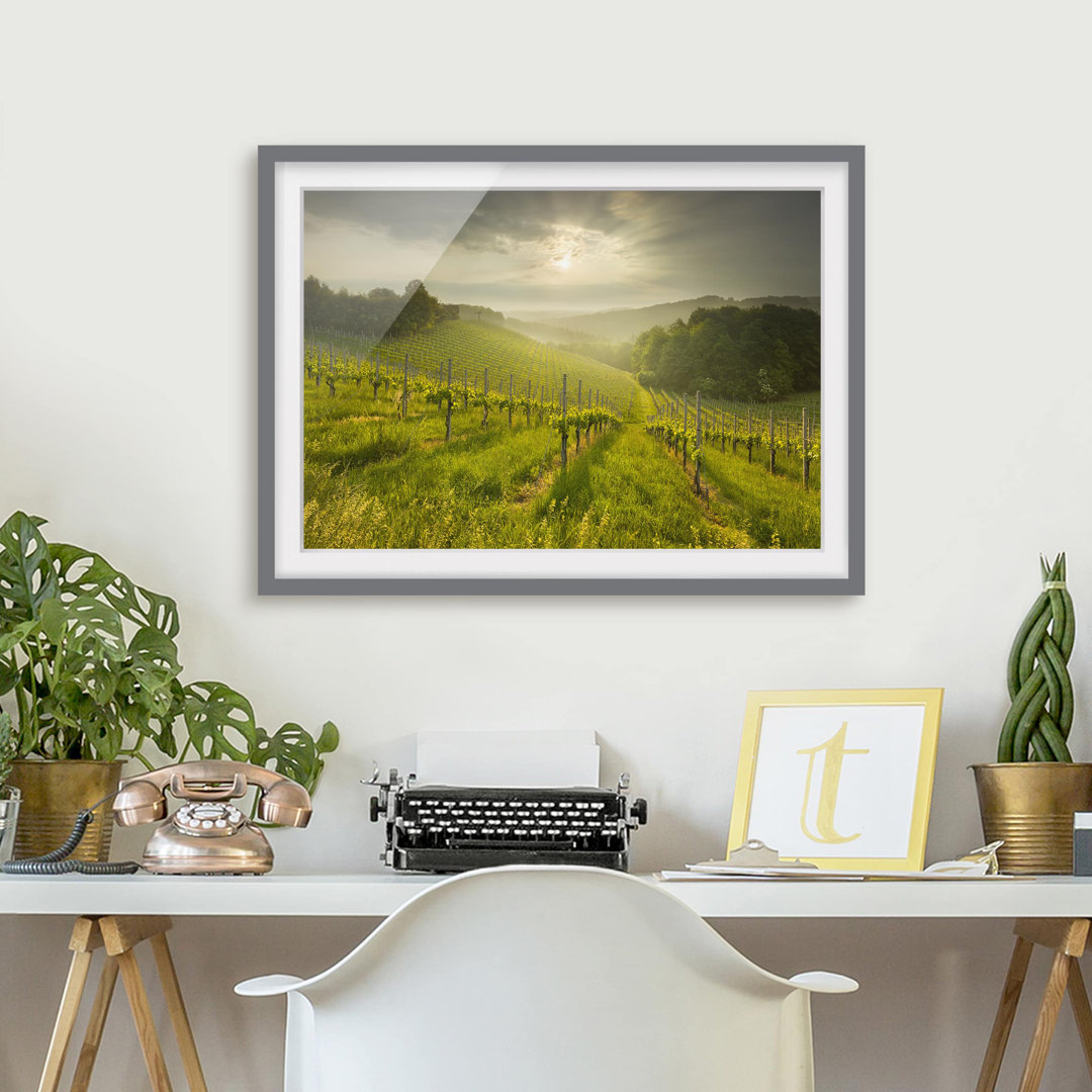 Gerahmtes Poster Vineyard Sunbeams