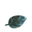Cenote Leaf Platter-1412923932