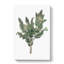 Holy Thistle Illustration - Wrapped Canvas-55359375