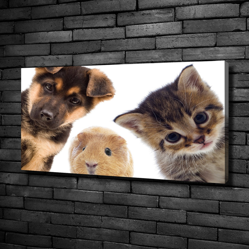 Pets - Wrapped Canvas Print