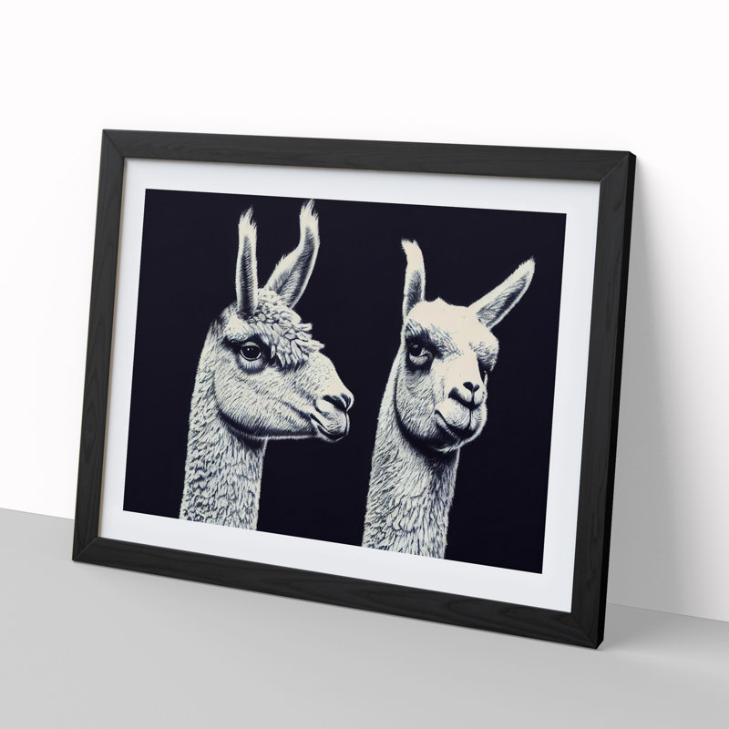 Two Llamas Vol.4 - Single Picture Frame Print, Black Framed, 46cm H x 64cm W x 2cm D