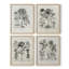«Vintage Floral Print», impression encadrée - ensemble de 4