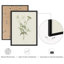 «Vintage Botanical Herb Study», ensemble de 2 reproductions d'art mural encadrées - Illustration de plante verte minimale pour la salle à manger de la cuisine-125120337-125120333