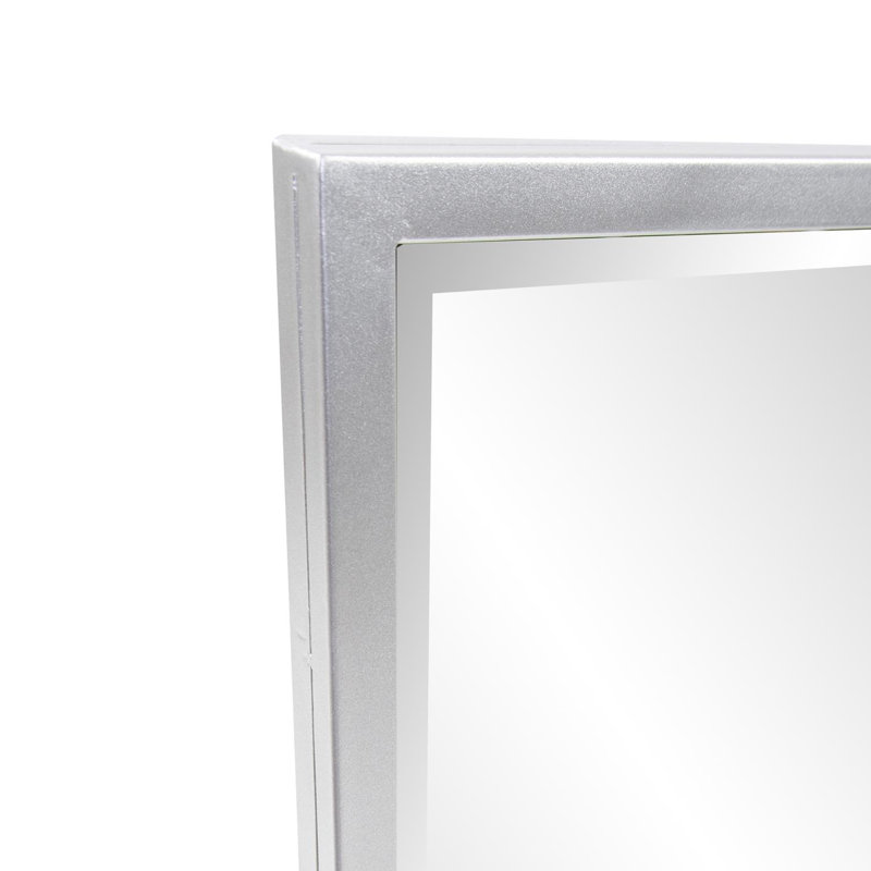 Ezra Mirror, Silver