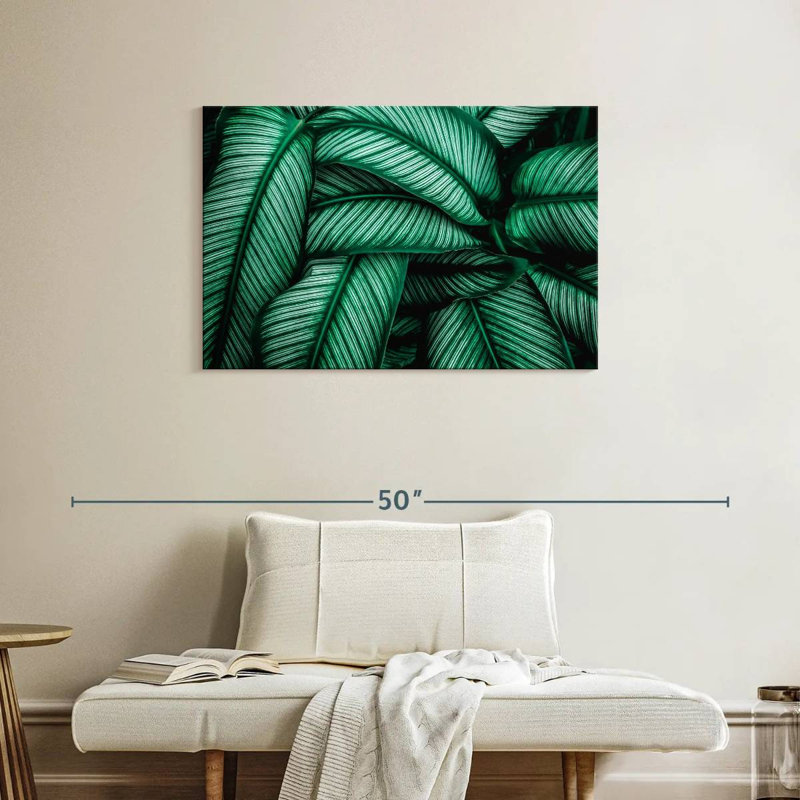 Harnek vert Calathea feuilles, H 24 po x l 36 po