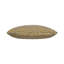 Golden Glam Pillow