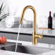 Contemporary Pull Down Single Handle Kitchen Faucet with Accessories