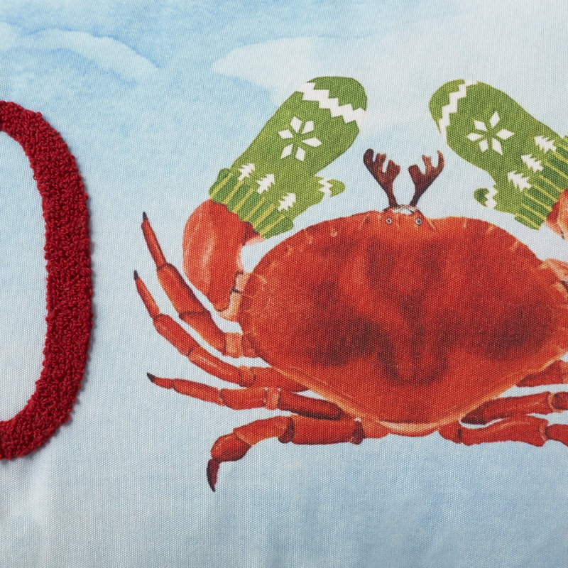 Embroidered Throw Pillow