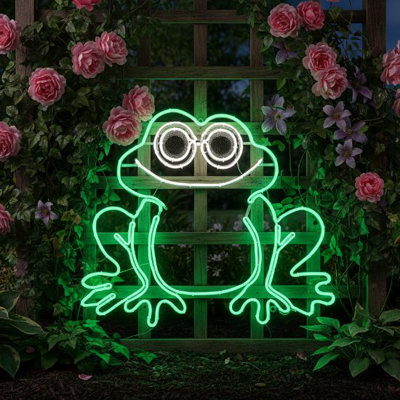 Plaque de grenouille en 2 dimensions
