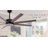 Carlinda 65'' Ceiling Fan with LED Lights