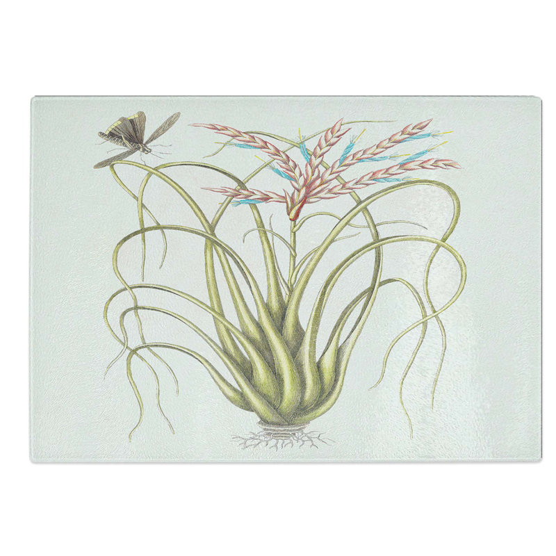 Glass Locust Upon Wild Pine by Mark Catesby Chopping Board, 39 cm W x 28.5 cm L